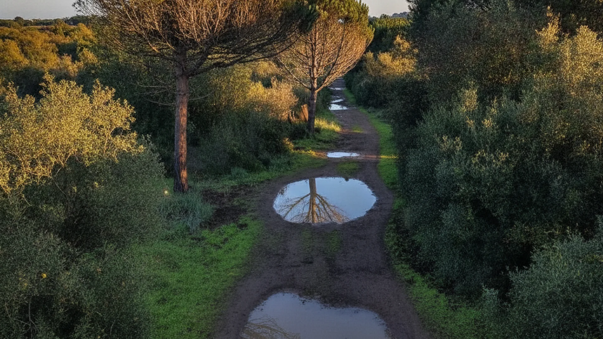 Lido Pineta di Castel Fusano — Roma (Lazio)